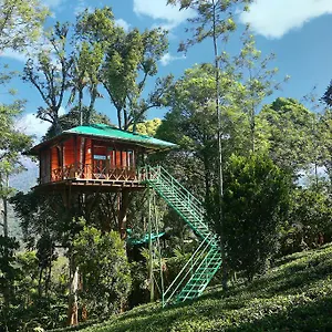 Resort Dream Catcher Plantation ****